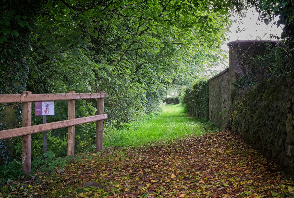 Burns_Ellisland's tweet photo. Autumn brings crisp walks, golden light & quiet calm. Ellisland Farm is the perfect base for exploring #BurnsCountry — or simply soaking in the season’s beauty by the riverside.
https://t.co/bPELe50E0s
#ScottishEscape #AutumnInScotland #scotlandstartshere https://t.co/fe6TlarCtT
