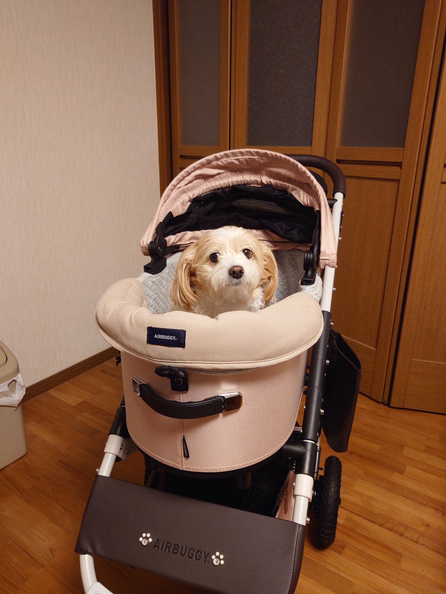 まみえもん。まるまるしたヴィンテージ　チーキーちゃん　白タイプ！ まみえもん。まるまるしたヴィンテージ チーキーちゃん 白タイプ