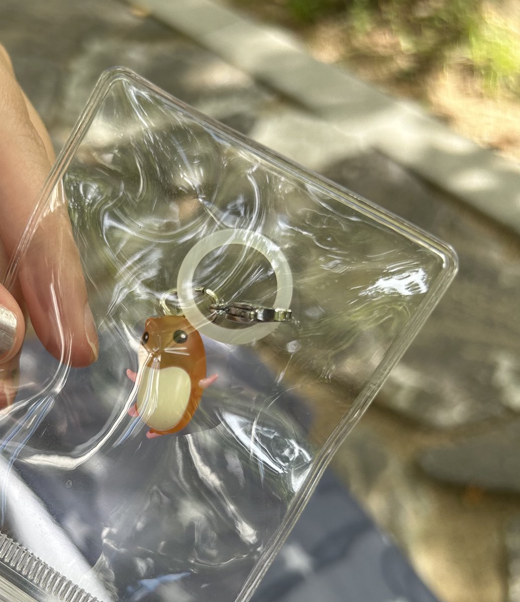 친구웃긴점) 좋아하는 키링 혹시라도 흠집나거나 누가 가져갈까봐 두렵다고 햄쥐키링 진공포장해서 들고다님