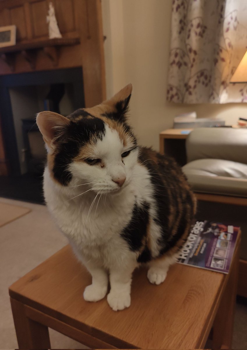 Alastair Campbell tweet media