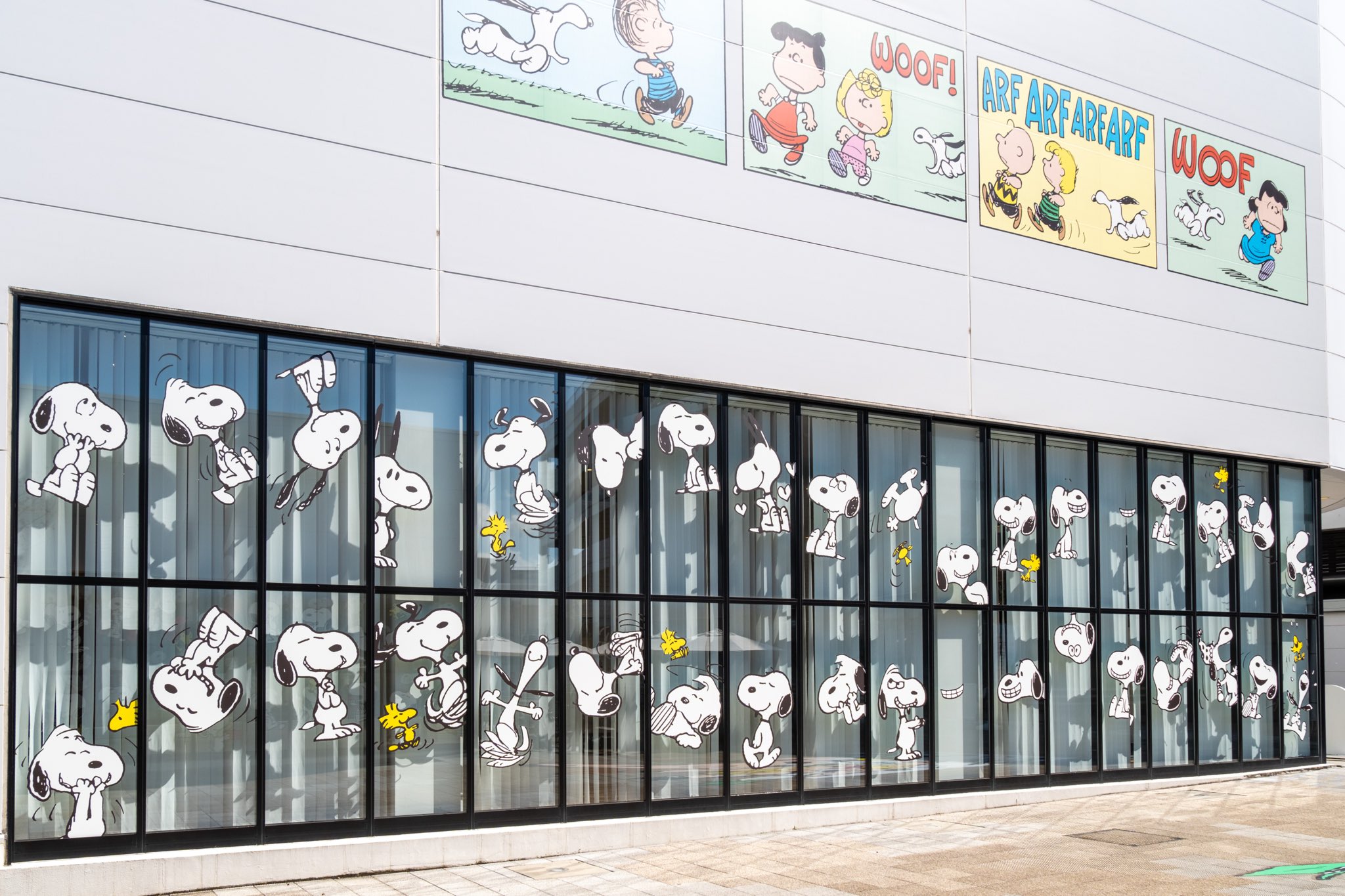 スヌーピーミュージアム 東京　PEANUTS複製画　黒縁BABBOO! ザ・スヌーピー展 新商品紹介】 9月6日（土）からスタートする