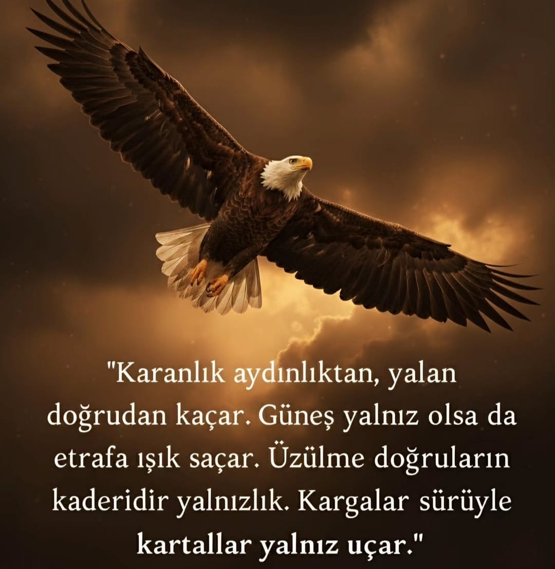nihalzenginn's tweet photo. 👩🏼‍💻 GÜNÜN SÖZÜ OLSUN BAKALIM 🔥🔥 Aynı zamanda Özcan Denizin çok güzel bir şarkısı...✨✨ https://t.co/s1ZwErA25b