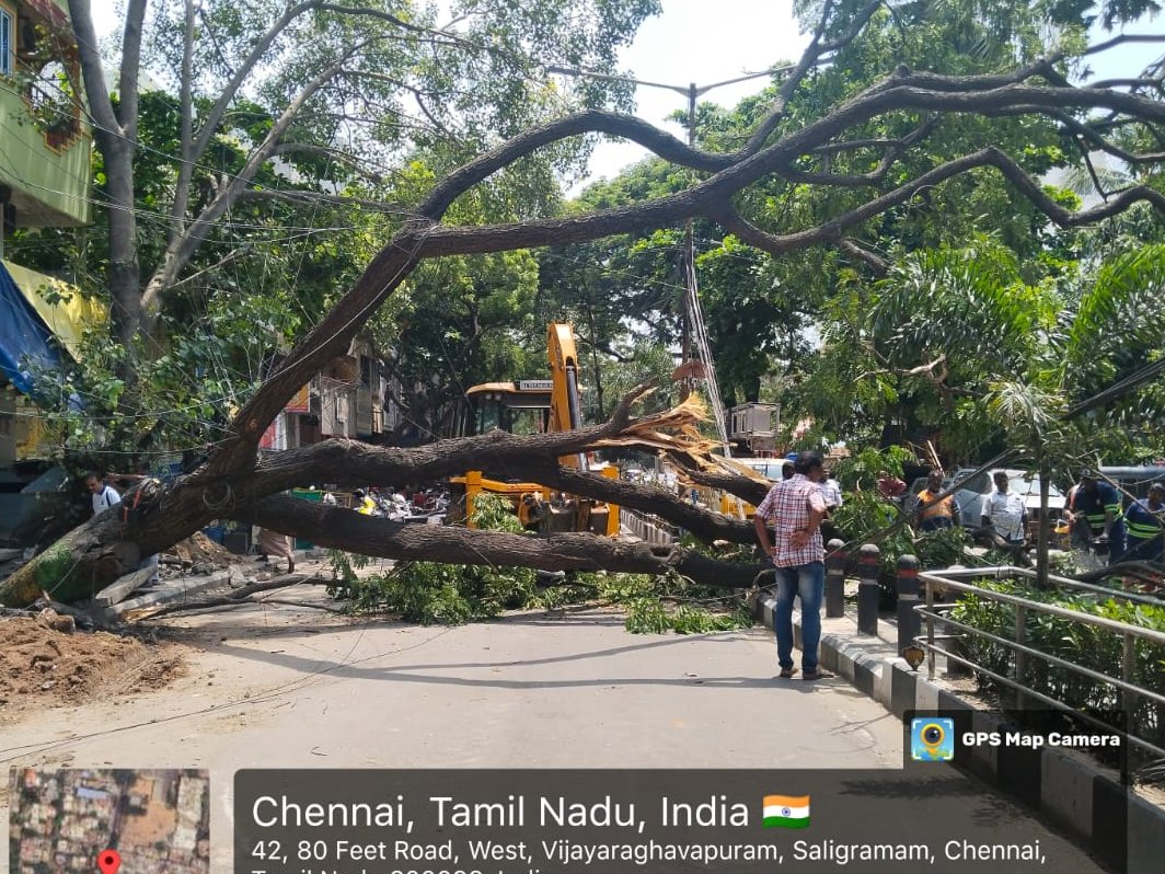🚨 A large tree fell across 80 Feet Road, KK Nagar—bringing traffic to a complete halt.
🌳 கோடம்பாக்கம் 80 அடி சாலையில் பெரிய மரம் விழுந்து போக்குவரத்து முழுமையாக பாதிக்கப்பட்டது.
#ChennaiTraffic #GCTP