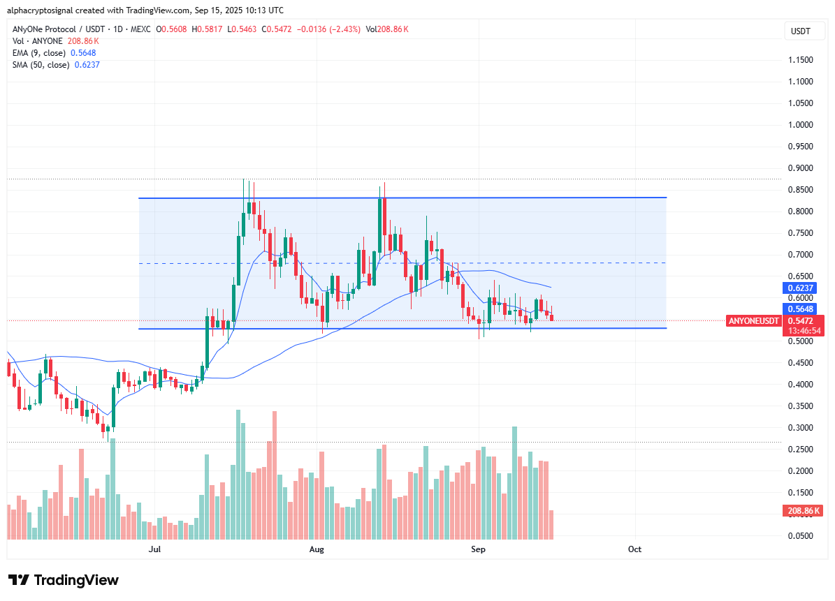 alphacryptosign's tweet image. #ANYONE HTF Analysis:

$ANYONE on the daily is trading inside a horizontal channel, and right now it’s sitting at the channel support near 0.52. This level is key for $ANYONE because as long as it holds, the structure remains intact and gives bulls a chance to take control. A