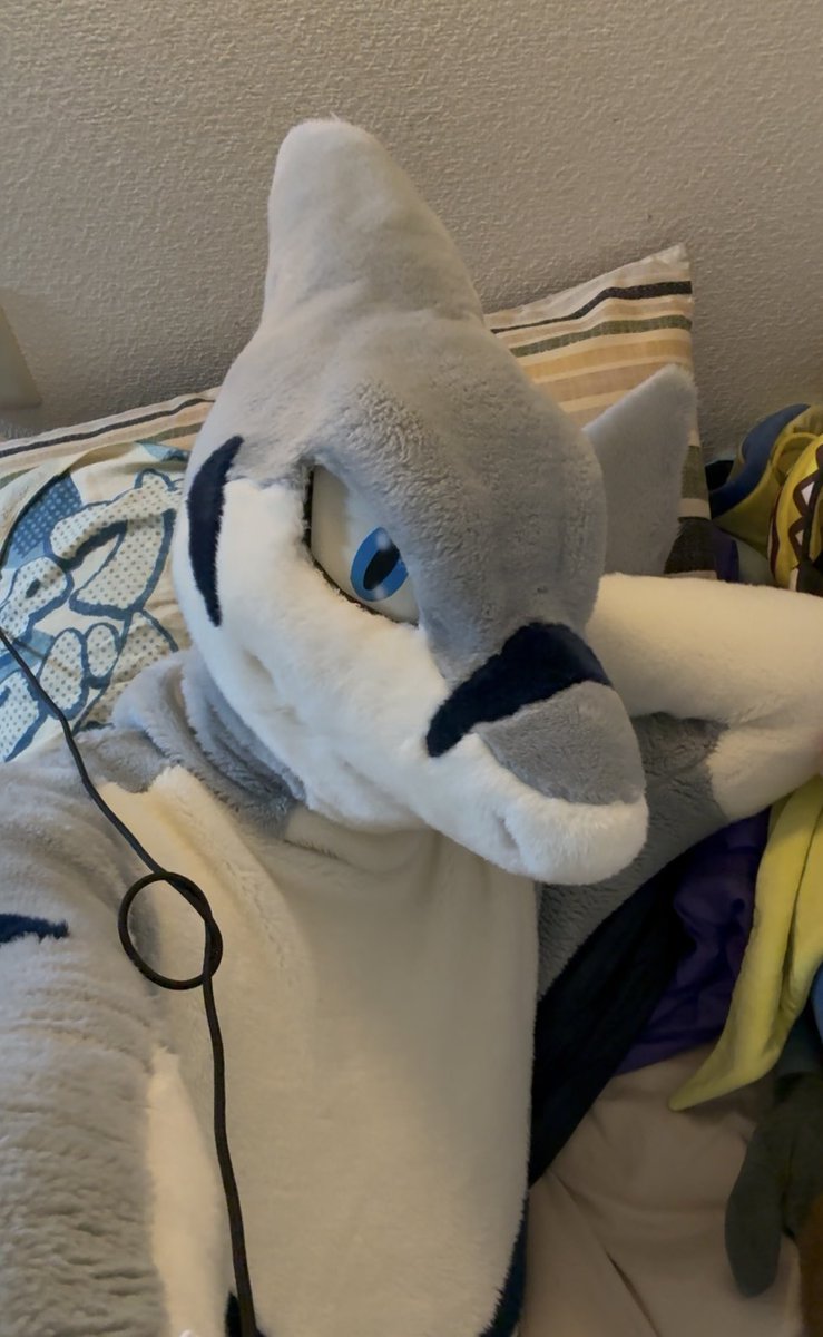 サメ自認中🦈