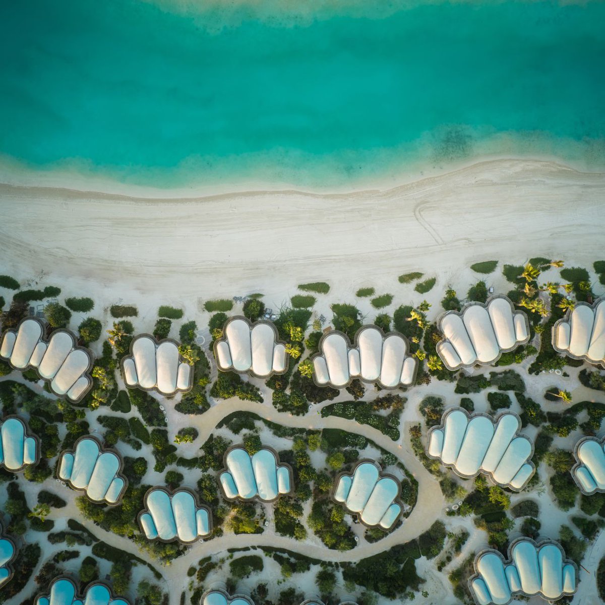 John Pagano tweet media