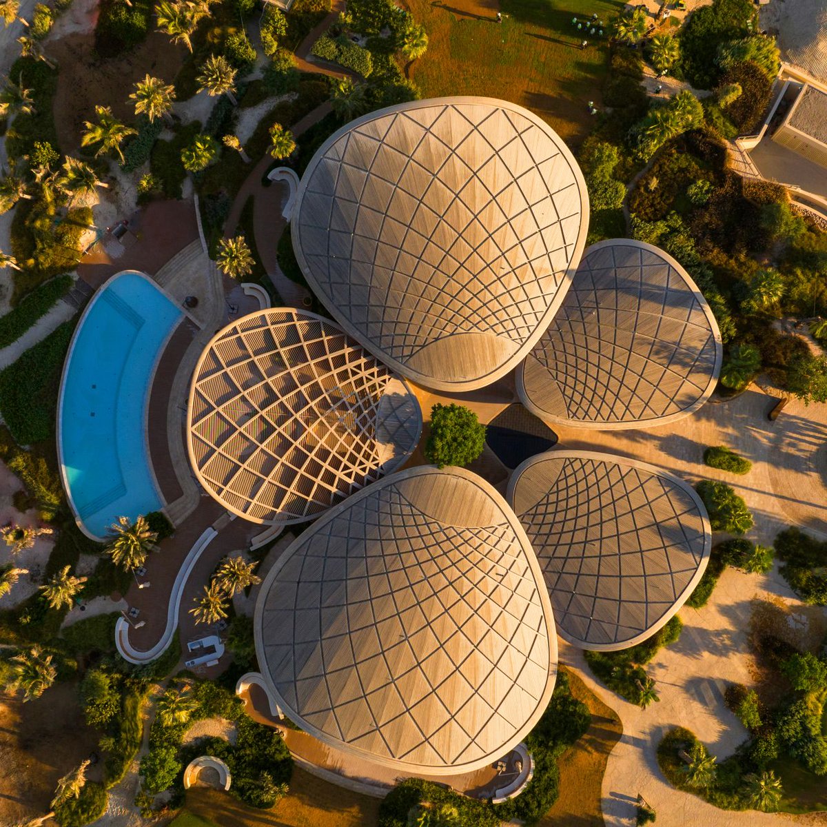 John Pagano tweet media