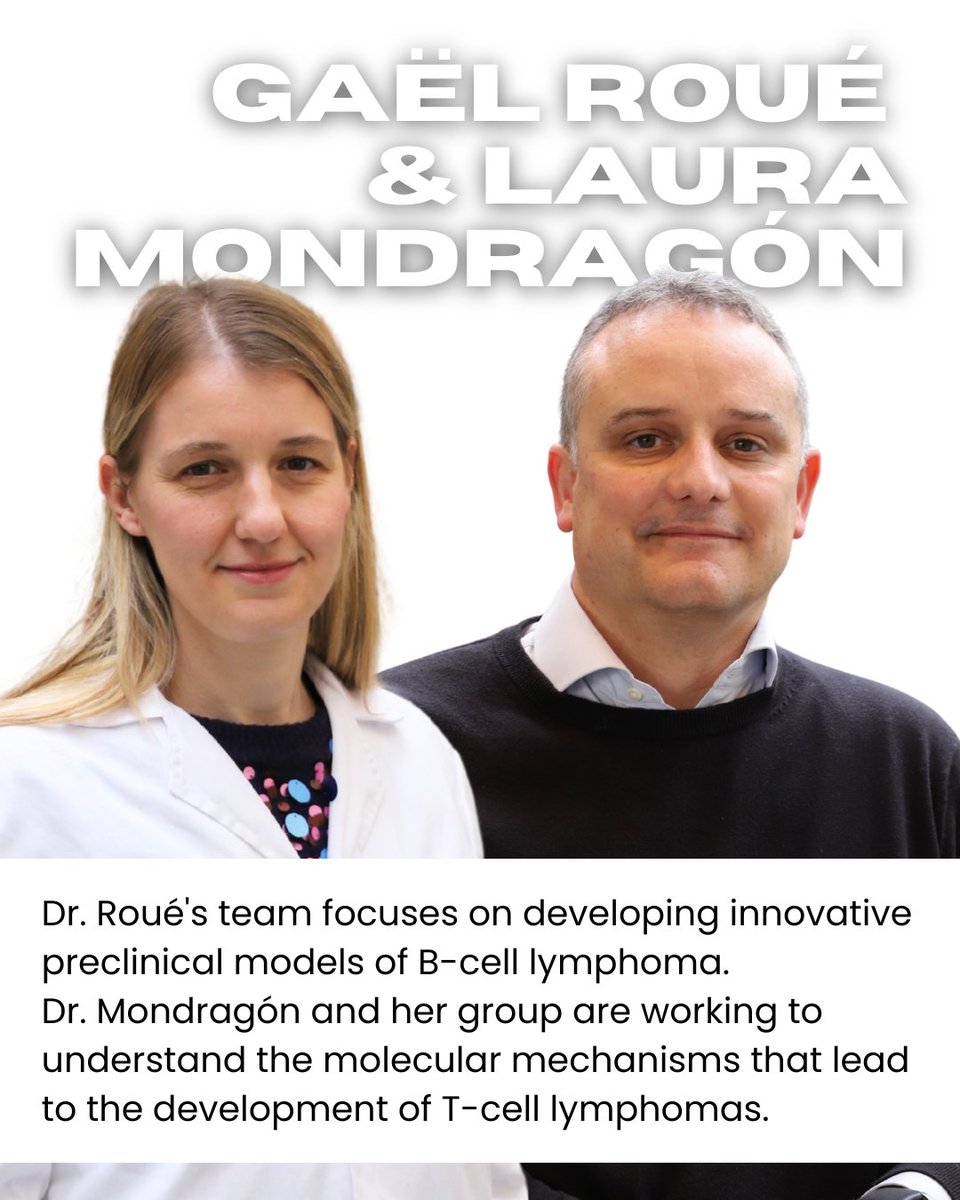 🩸 Did you know #lymphoma affects over 600,000 people worldwide each year?

🔬 On #WorldLymphomaAwarenessDay, we spotlight the vital role of research and introduce our two labs dedicated to fighting this disease.

👉carrerasresearch.org/en/research/ly…

👉carrerasresearch.org/en/research/t-…