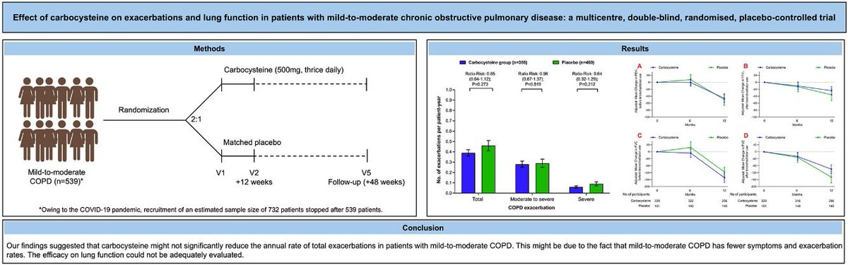🧐 Did you know that carbocisteine can reduce exacerbations and improve lung function in patients with mild-to-moderate COPD? 

Discover more in #ArchivosdeBronconeumología

🔗 Read here: n9.cl/hyzce

#SEPAR