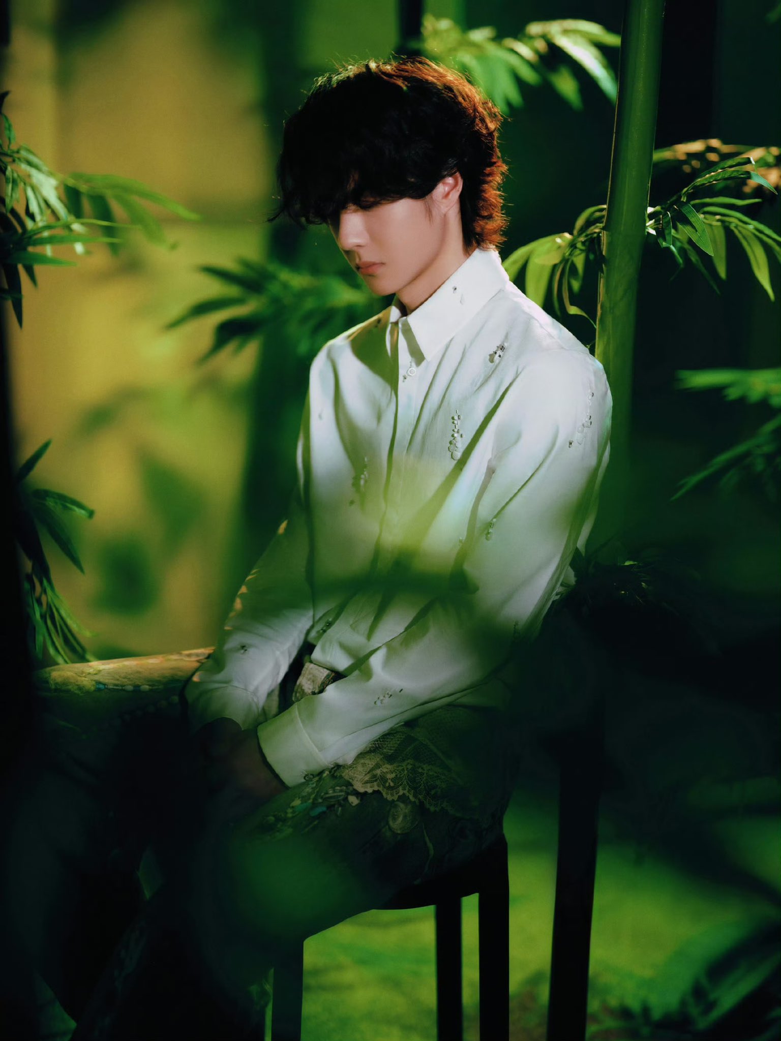 漆櫻花樹Qi ying (@xzwyPeace7) / X