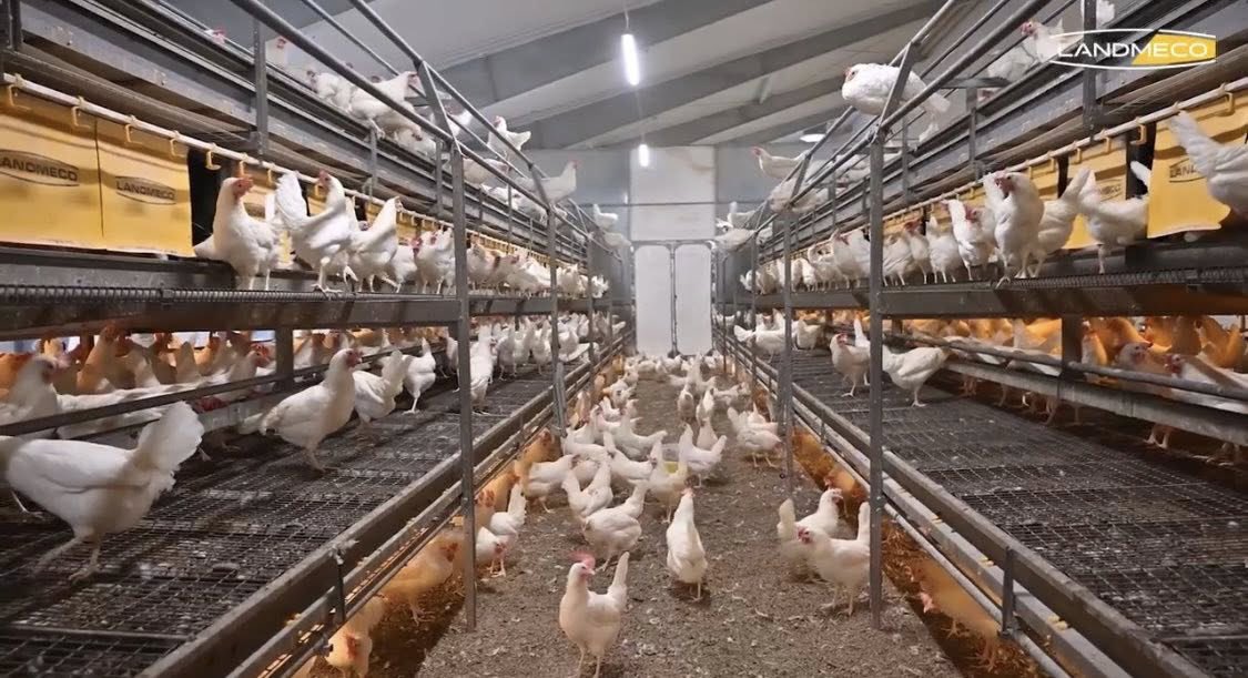 PE Services, Jola Engineering Ltd. and Eurowash tweet media