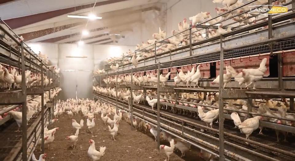 PE Services, Jola Engineering Ltd. and Eurowash tweet media