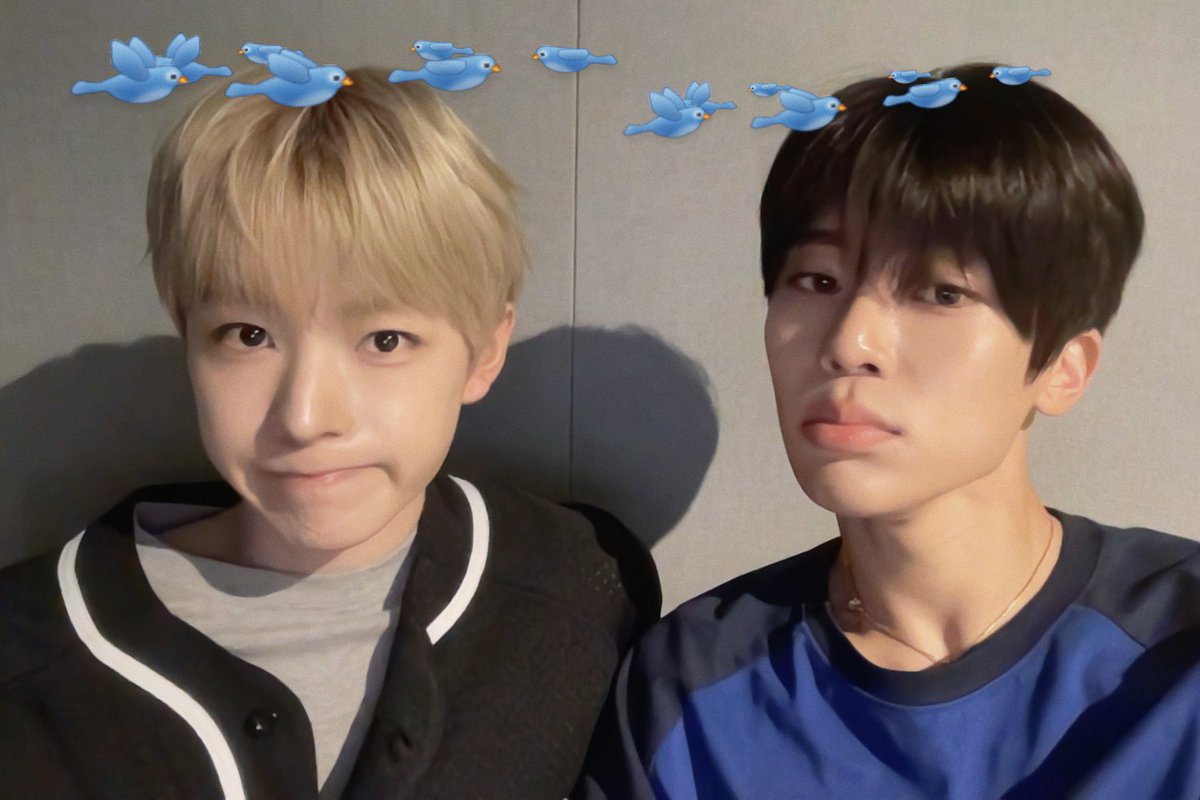 파도 🌊 tweet media