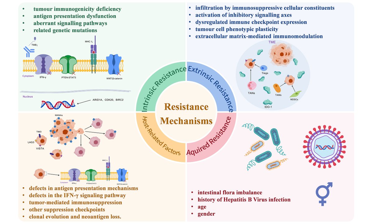 cdrjournal's tweet image. 🌟New Publication  in #Cancer #DrugResistance!

☀️Title: #Immune #checkpoint #inhibitors in hepatocellular carcinoma therapy: resistance mechanisms, liver transplantation challenges and management strategies

👉Read more: oaepublish.com/articles/cdr.2…