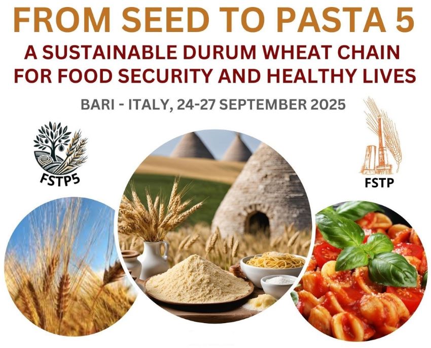 CREARicerca tweet media