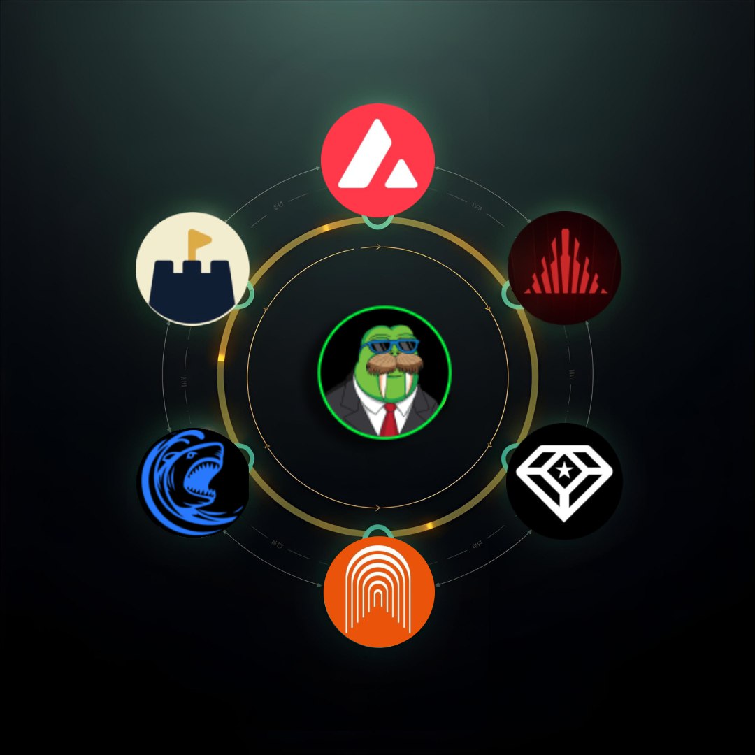 lekhcando's tweet photo. Are you wondering to find real alpha in @avax ecosystem? The answer is @AvaxHefe  

 Culture Leader 🐋🔥
Everyone chases hype tokens at peak FOMO, but legends are built in silence. $HEFE has been consistently rewarding hodlers, LPs, and moat users with REAL incentives: staking, locking, burning, and voting rewards paid in $BTC.b.

 This isn’t just a meme — it’s becoming the culture leader of @avax . Liquidity is spread across @PharaohExchange , @LFJ_gg , and @apex314_defi , ensuring depth and security for investors. 

The @FortiFi_  moat program? A game-changer. Permanent points for future platform airdrops + monthly rewards for diamond hands. Data never lies. 📊 $HEFE is shrinking supply daily, fueling scarcity and strengthening demand. 

The ecosystem is expanding with Hefe Studio and merch, adding fire to the brand. 🚀 Those who recognize it now will lead the culture wave. Those who wait for FOMO will always be late. 

The Green Walrus is not just swimming — it’s preparing to dominate. 🌊🐋 #HEFE #AVAX