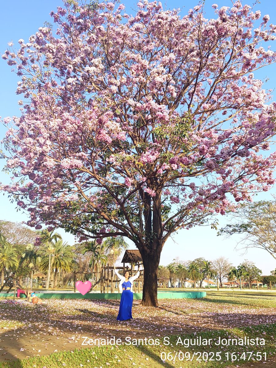 5.0. Gratidão 🙏🏽💐 Deus. Mais uma primavera. Gratidão 🙏🏽 <a href="/X/">X</a>  e todas pessoas que lembraram desta data tão especial. #aniversário #Emmys2025  #cumpleanosfeliz  #HappyBirthday