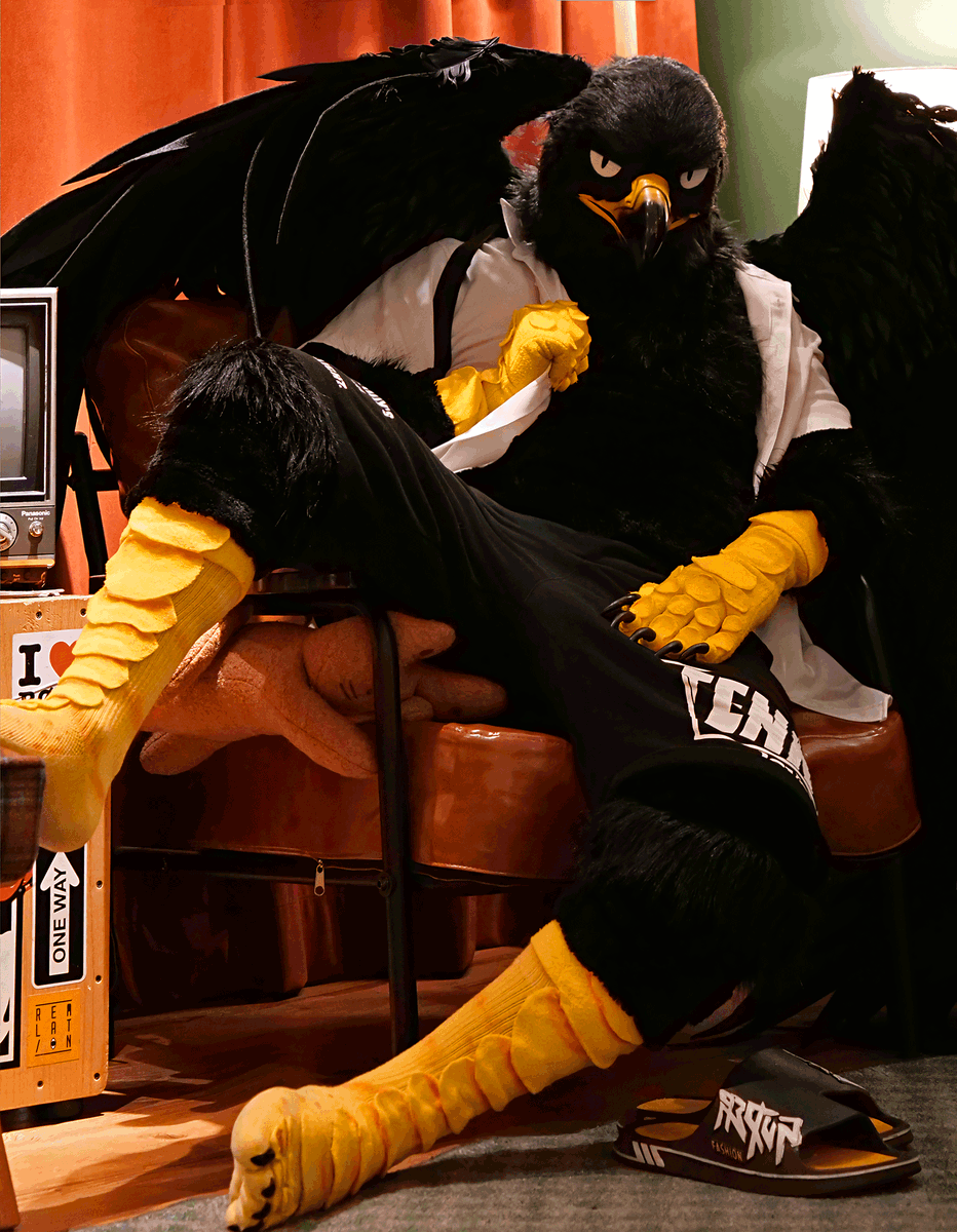 야성적인 포즈!
#FursuitEveryday