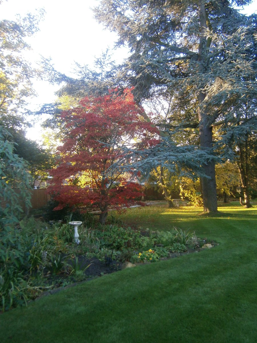 Leicestershire NGS tweet media