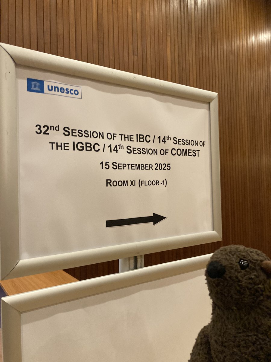 今日はこちらに参加しています。