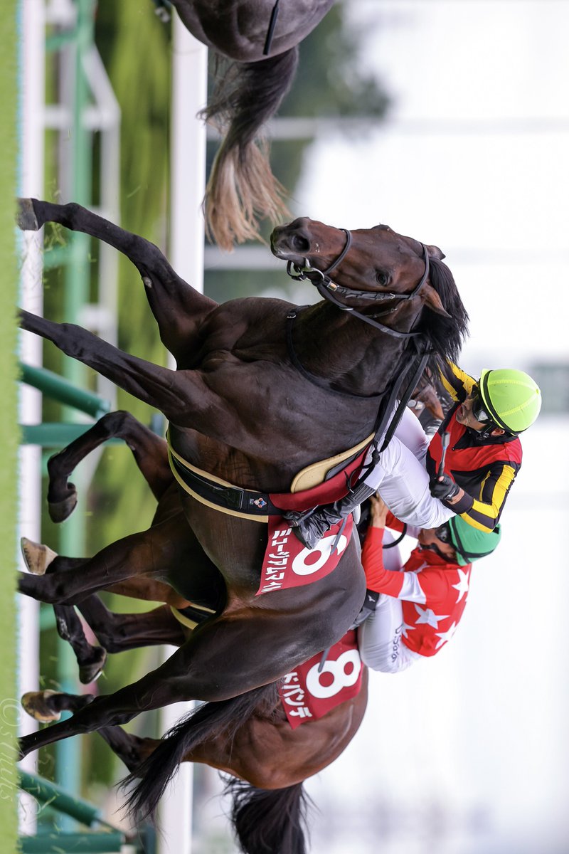 競馬ファン必見‼️超レア‼️第38回皐月賞優勝記念 競馬ファン必見‼️超レア‼️第38回皐月賞優勝記念