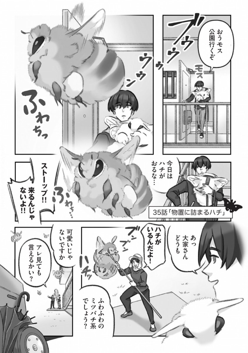 モスのいる日常 ヤママユガ系モス モスのいる日常SHOP (@moth_shop) / X