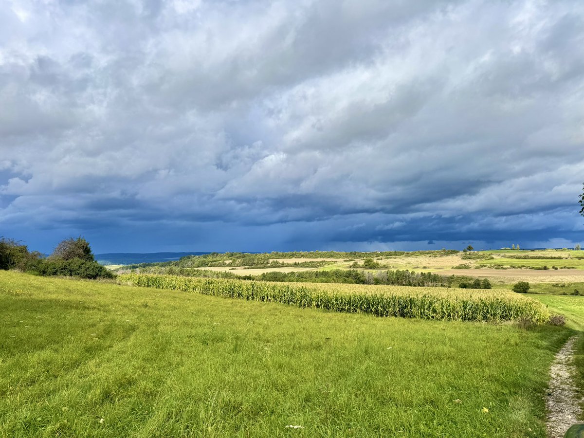 Da kommt was auf uns zu. 🌧️