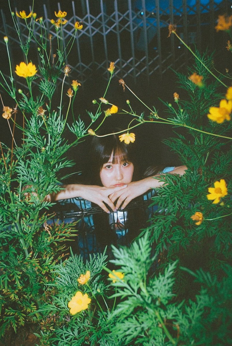 asa_kijima's tweet image. 