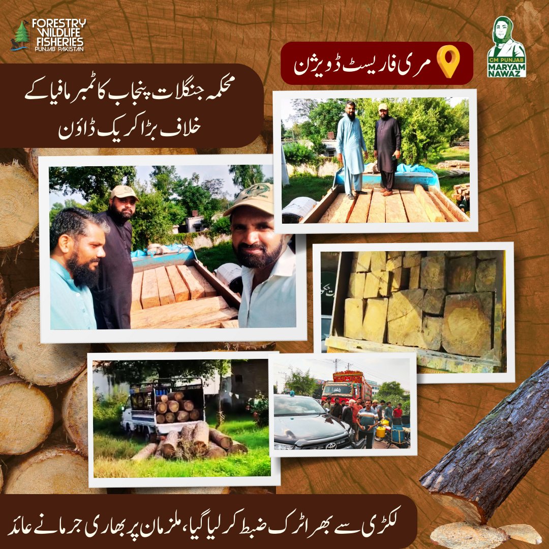fwfpunjabpk's tweet image. مری فاریسٹ ڈویژن : محکمہ جنگلات پنجاب کا ٹمبر مافیا کے خلاف بڑا کریک ڈاؤن۔ لکڑی سے بھرا ٹرک ضبط کرلیا گیا، ملزمان پر بھاری جرمانے عائد۔
.
.
@Marriyum_A  @GovtofPunjabPK 
#treecutting #action #timbermafia #forest #fwfpunjab #GovtOfPunjab