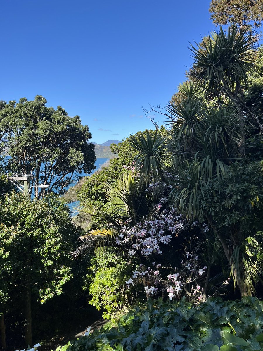 A sparkling start to the week in #NewZealand’s harbour city Capital <a href="/Wellingtonnz/">WellingtonNZ</a>