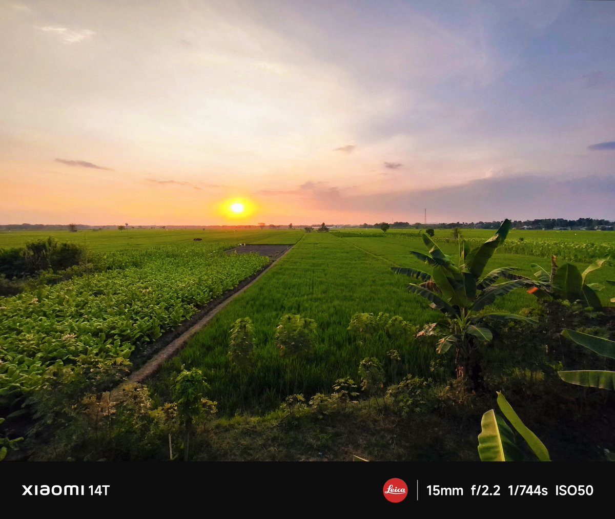 rahadenlb's tweet photo. #nature #NaturePhotography #photography #landscape #Android #Xiaomi #Xiaomi14T #green #sunset https://t.co/N7pQ6tTYQ6