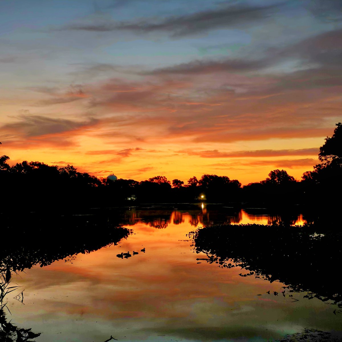 <a href="/hoffmanrich/">RichHoffmanWeather</a> 
<a href="/AlexCalamiaWx/">Alex Calamia ☀️</a> 
<a href="/SamanthaAugeri/">Samantha Augeri</a> 
<a href="/JSeawright_TVWX/">Julian Seawright</a> 
<a href="/SkylerDayWX/">Skyler Day Harman</a> 
<a href="/TreutleinDenise/">Denise treutlein</a> 
<a href="/mark_tarello/">Mark Tarello</a> 
#n12stormwatchers 
A happy Monday morning at the Massapequa lake today.