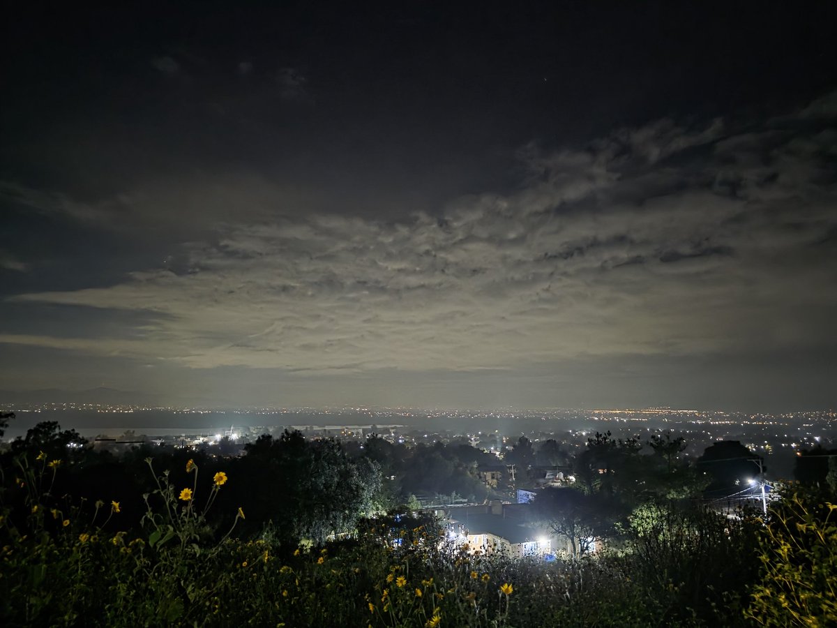 Rod_Bot17's tweet image. De vuelta en casa