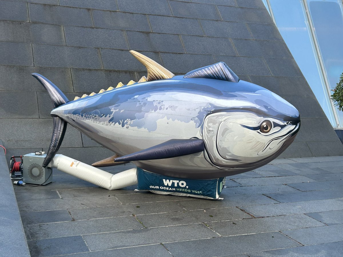 It’s done: the WTO Agreement on #FisheriesSubsidies is in force! At a special General Council meeting in Geneva we made the required two-thirds threshold of all WTO members. The first-ever WTO deal on environmental sustainability!