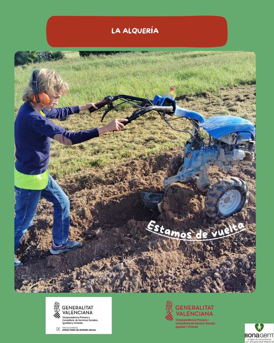 BonaGentAPDI's tweet photo. La Alquería ya está de vuelta!🥬

Llevamos tres semanas metiendo miles de planteles en el campo, preparando el campo para plantar y segando sin parar.

Trabajamos cada día para cultivar frutas y verduras que nutran a todas las personas, con sabor, calidad y conciencia.💚 https://t.co/okgtJea6XN