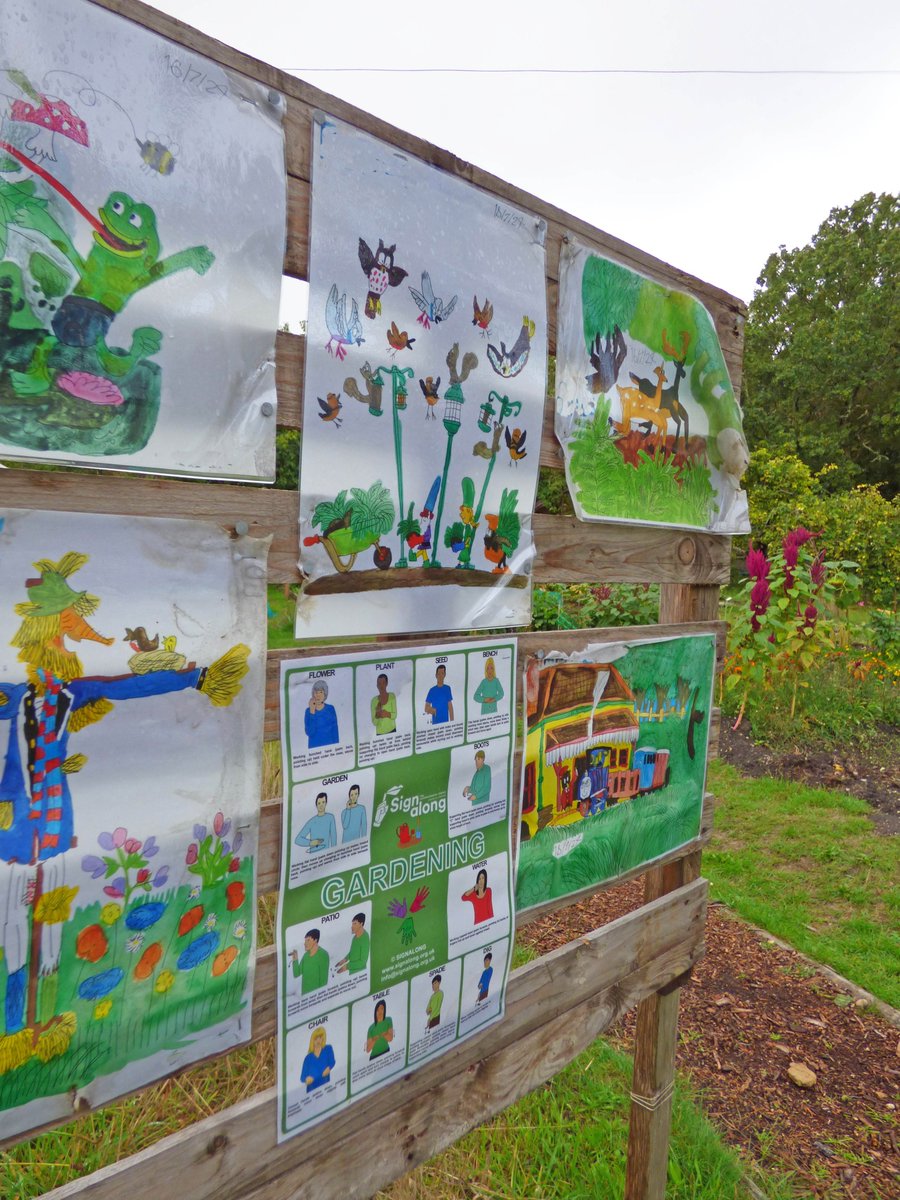 The Sheiling Ringwood tweet media