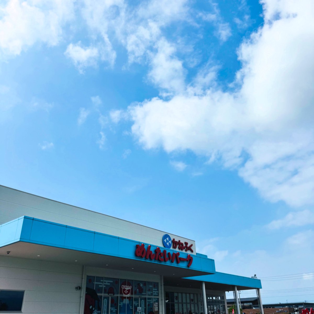 明太子購入♪😋