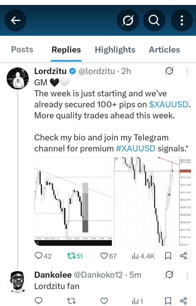 Dankolee tweet media