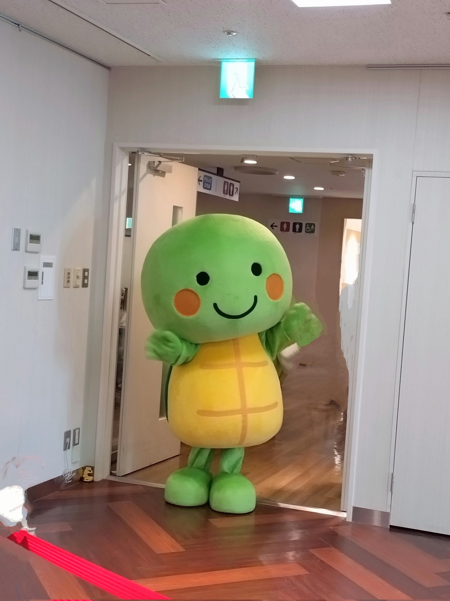 カメちゃん kuu on X: 