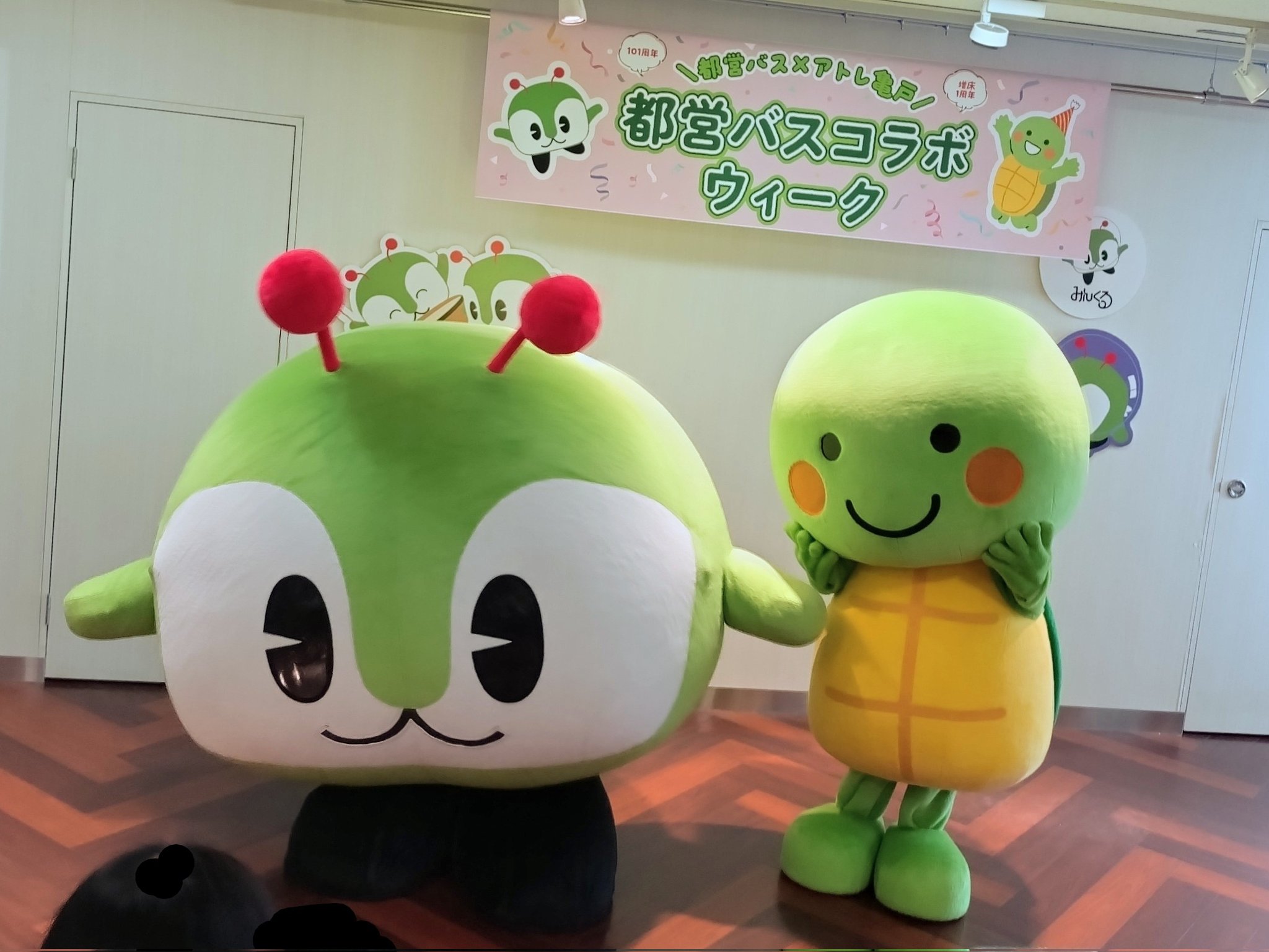 カメちゃん kuu on X: 
