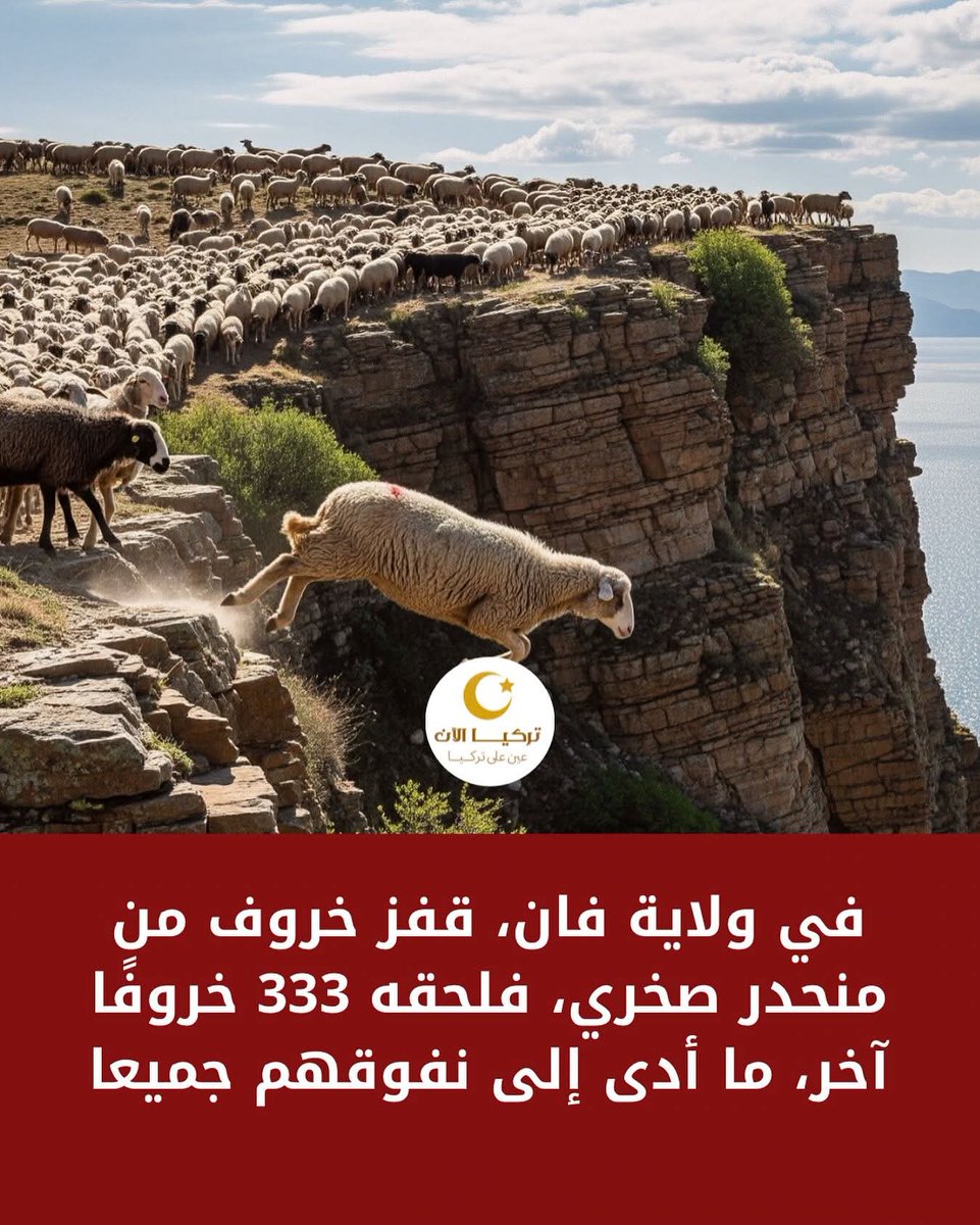 يارب نفهم 😁