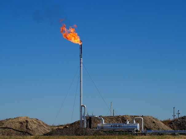 MTVSZ /FoE Hungary/ tweet media