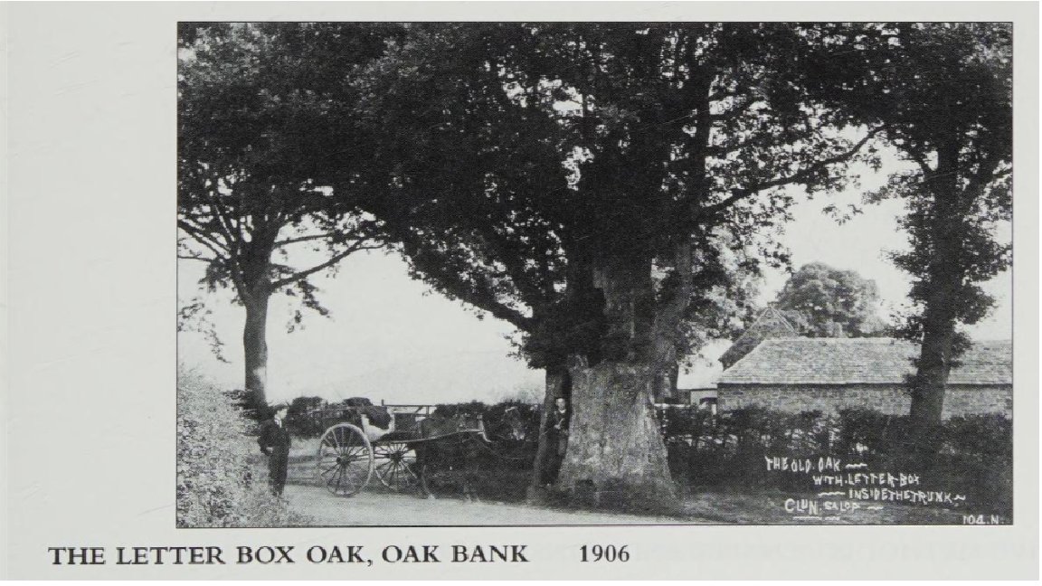 Here's a delightful piece of postal history: An oak tree that was known as 'The Post office Tree' (or Letter Box Oak). Sadly no more. Further details in picture alt/caption. It is from Border Wanders by ATD Evans (Photographic Studies 1906 -1935). Published 2008.