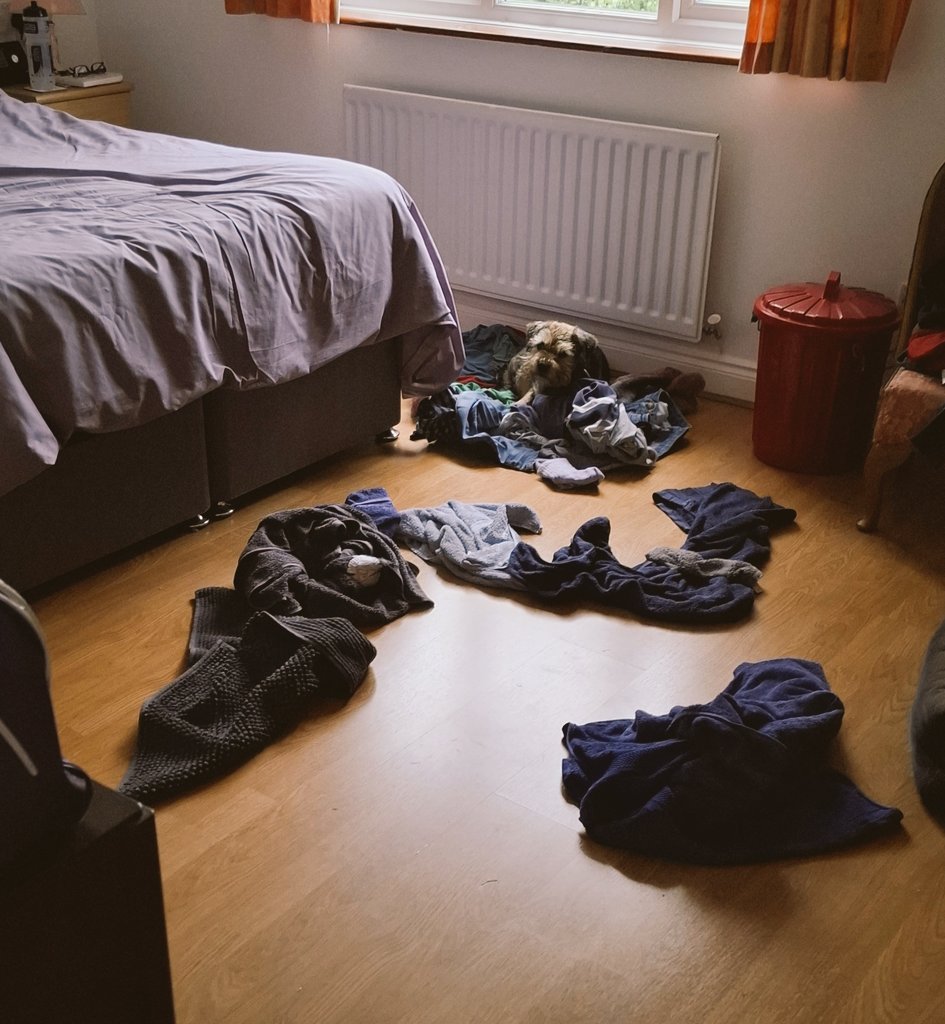 Molly (Electrician) tweet media