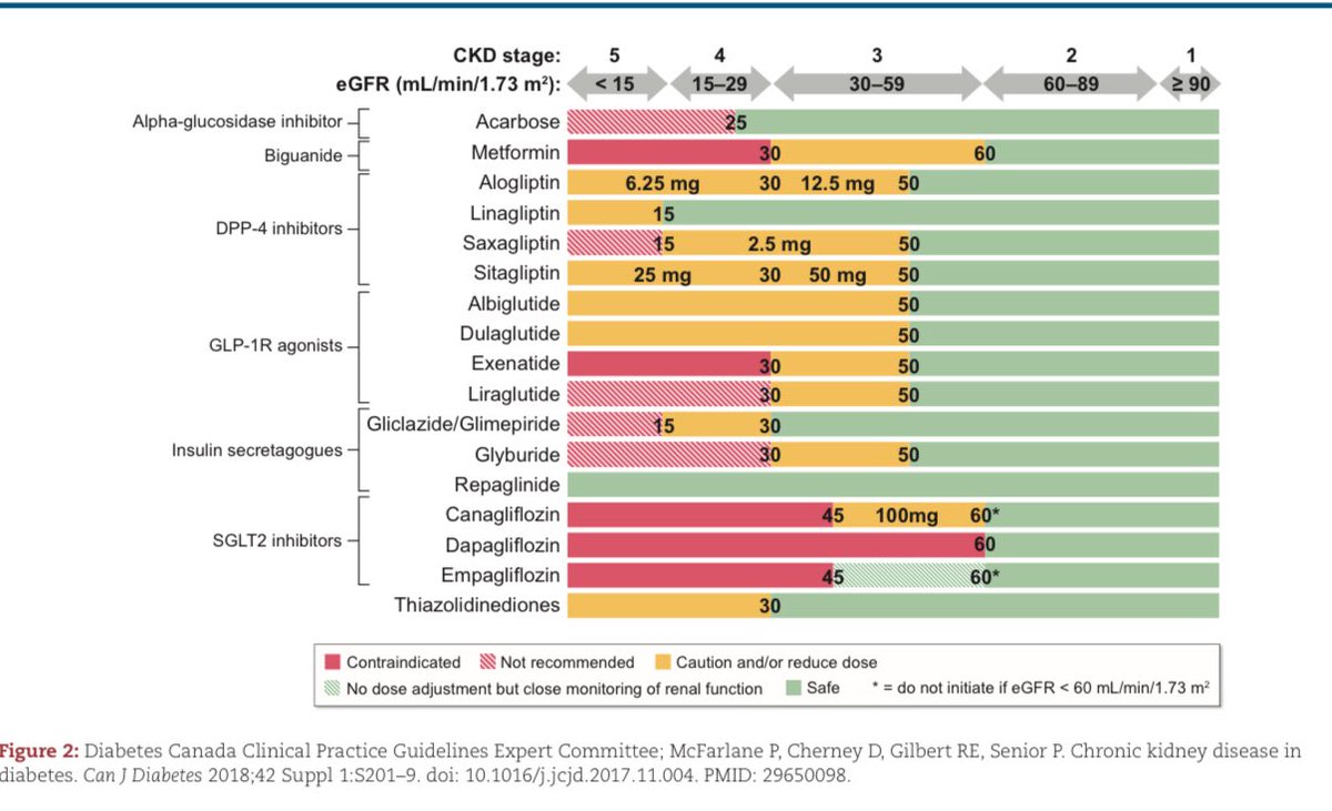 👍Oral Hypoglycemics in CKD

academic.oup.com/ndt/advance-ar…

<a href="/NDTsocial/">NDT</a> <a href="/hjanders_hans/">Hans-Joachim Anders</a>