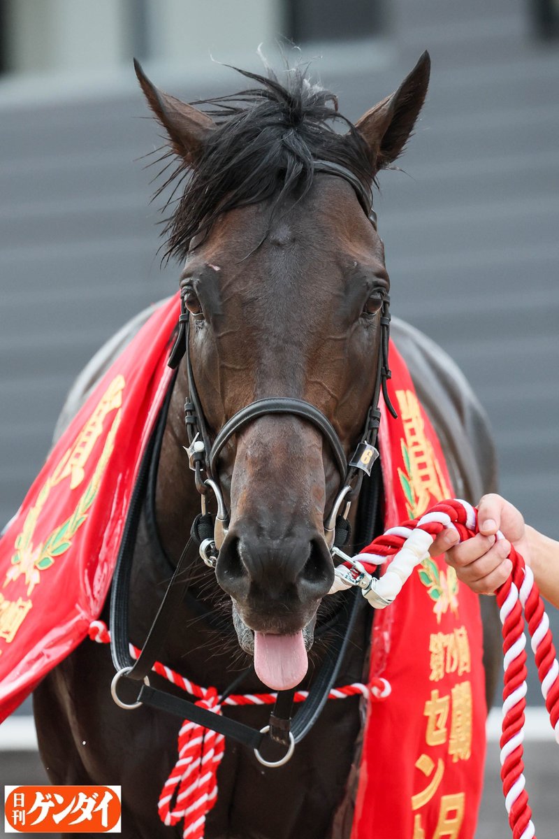 勝っちゃった！
#ミュージアムマイル #戸崎圭太
#セントライト記念