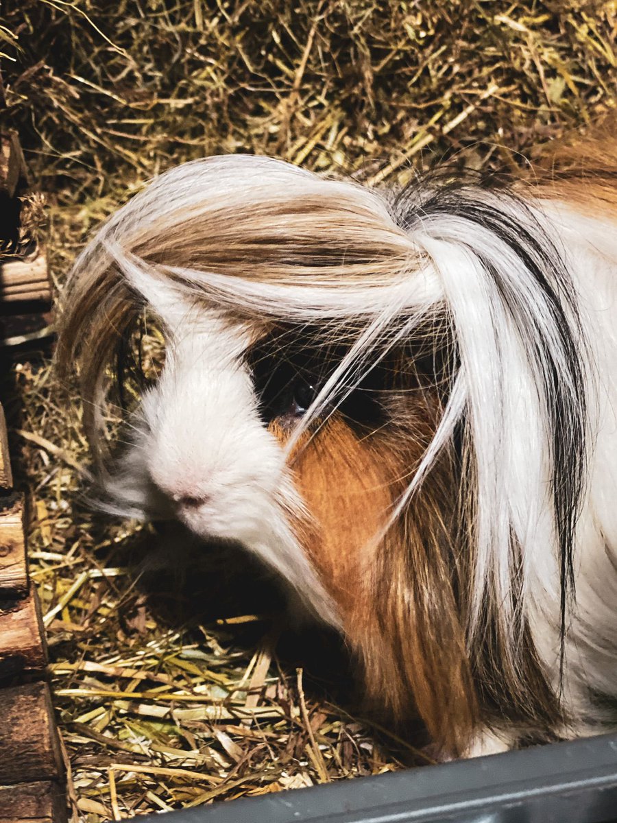 Vickilicious | Cute & Creepy Gang tweet media