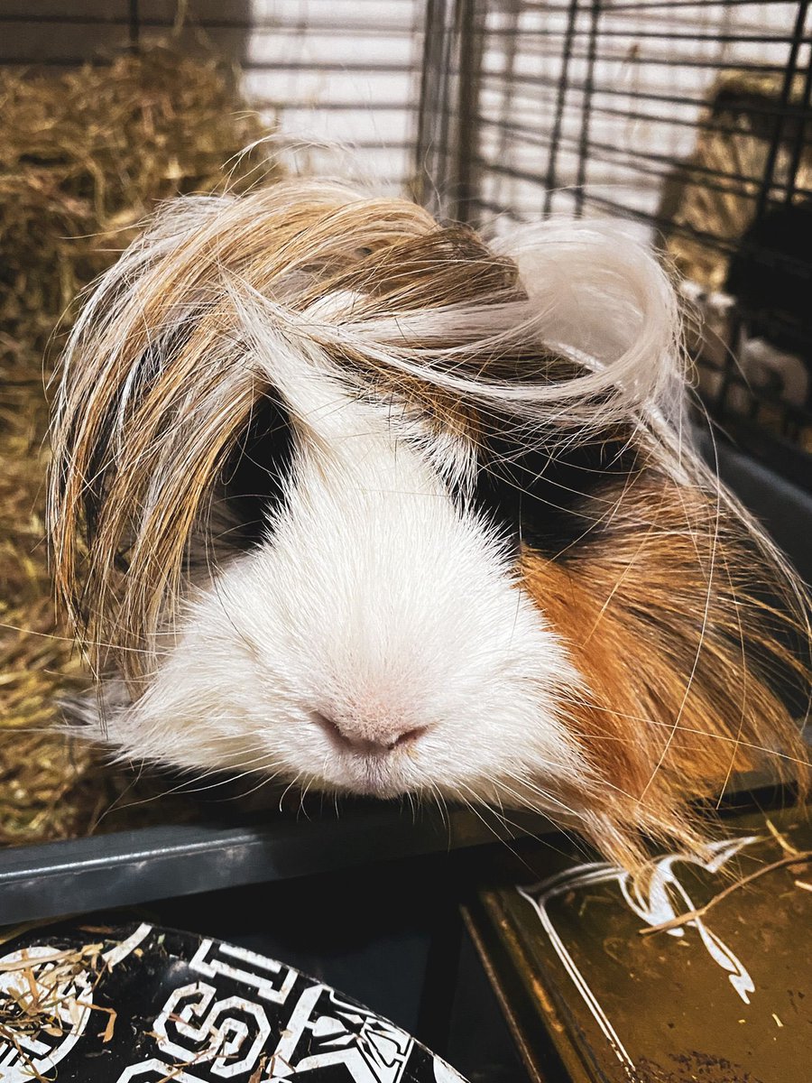 Vickilicious | Cute & Creepy Gang tweet media