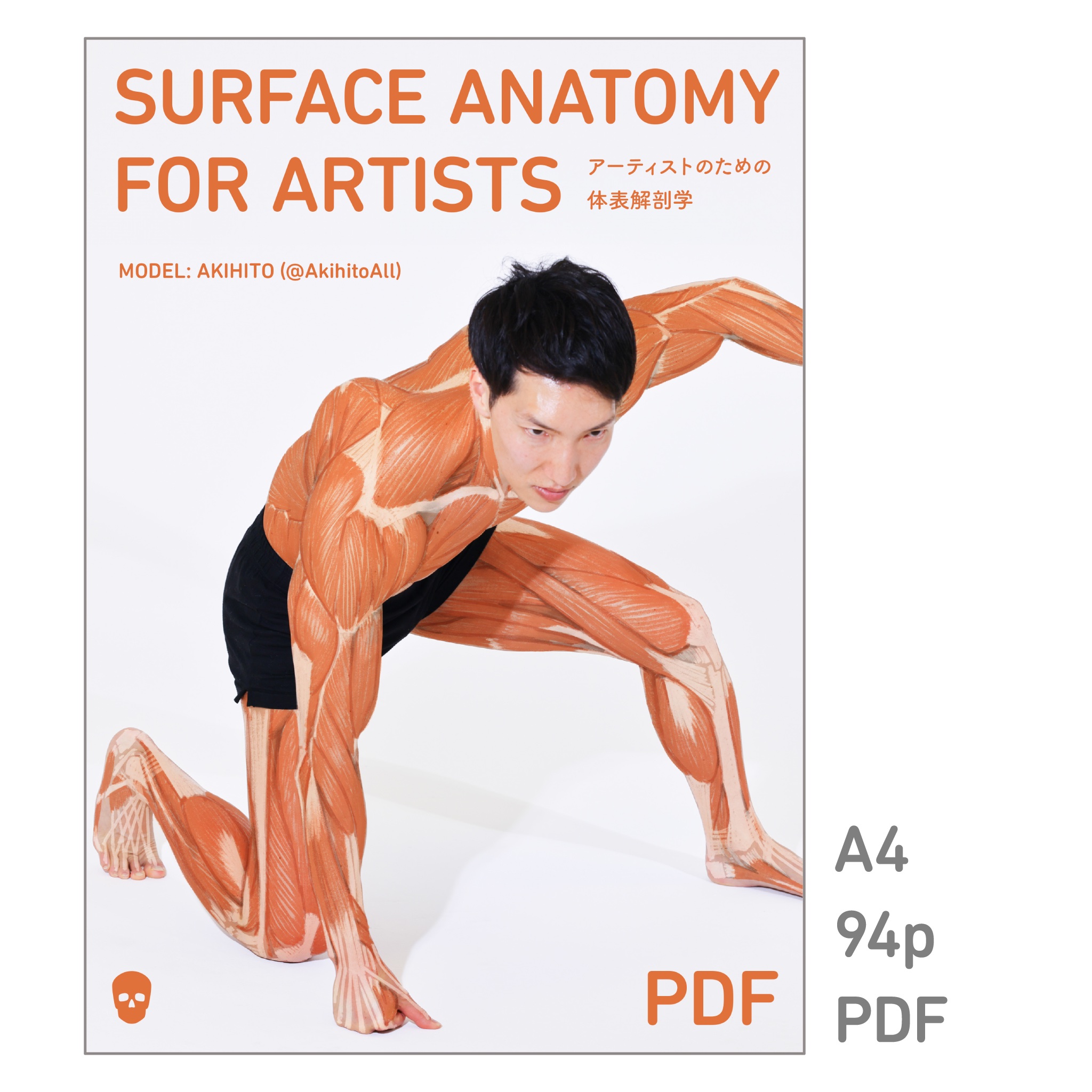 アーティストのための体表解剖学 3冊セット 美術解剖学 アーティストの