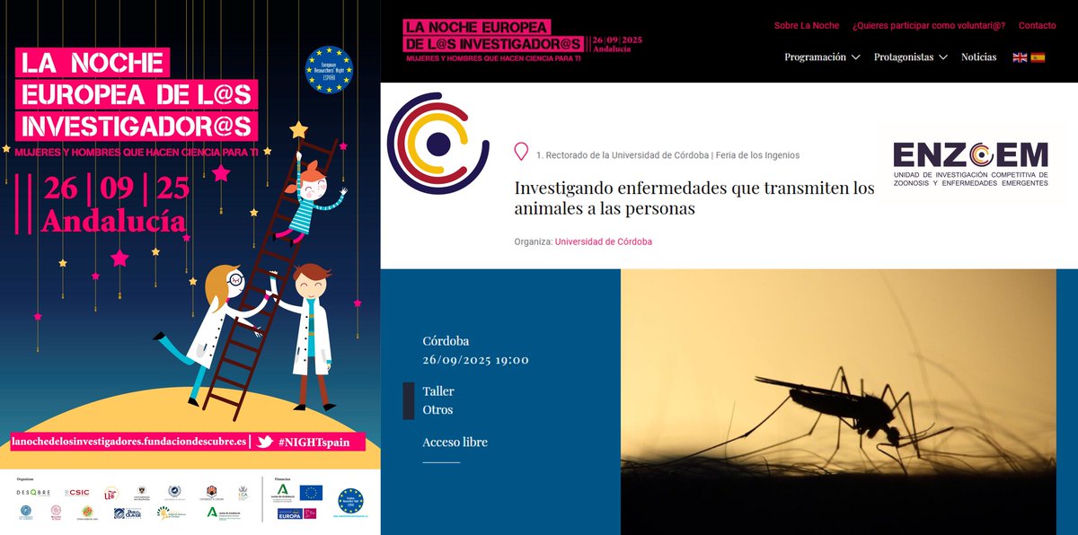 🧬🔬 ¡Este 26 de septiembre repetimos experiencia en La Noche Europea de los Investigadores!

La Unidad de Investigación de ENZOEM estará presente otro año más en la Feria de los Ingenios con el taller: "Investigando enfermedades que transmiten los animales a las personas".